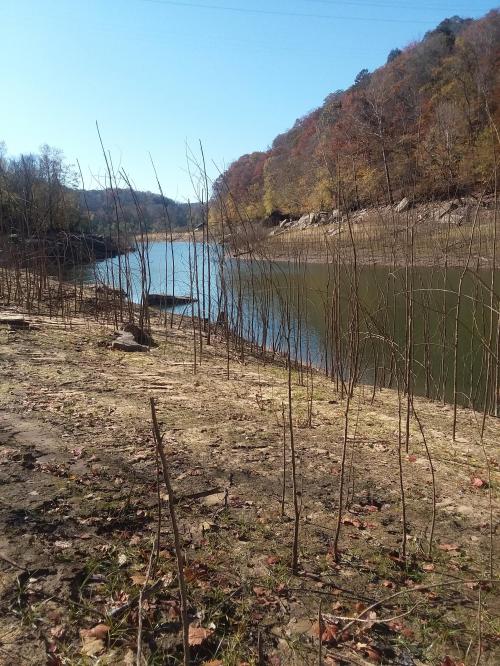 19:27:11 GMT-0500 (EST)