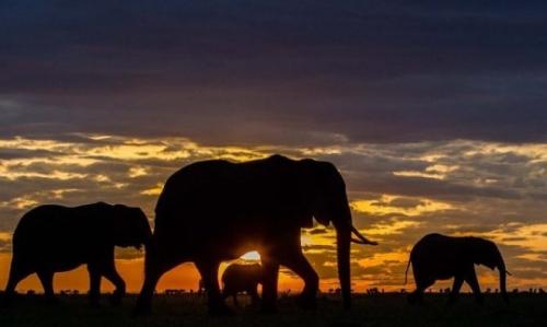 tumblr_07a7982c9caa87b6fd49030e35ec0776_8d2b4bf0_540