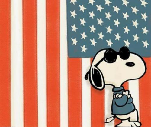 02:58:12 GMT-0500 (EST).image