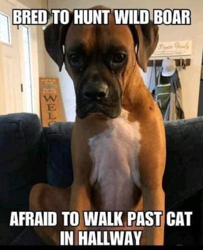 01:08:26 GMT-0800 (PST).image