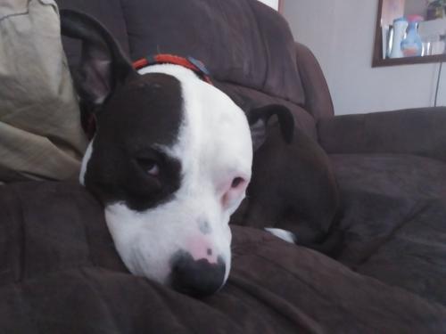 11:35:50 GMT-0500 (EST)