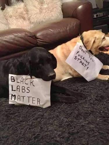 108382991_1216792648682391_8559179292106836986_n