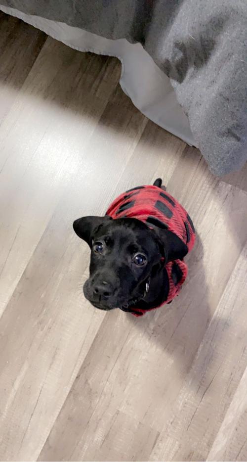 22:14:03 GMT-0500 (EST).image