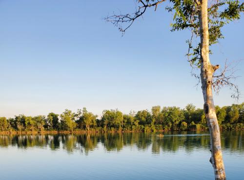 08:21:06 GMT-0600 (CST)