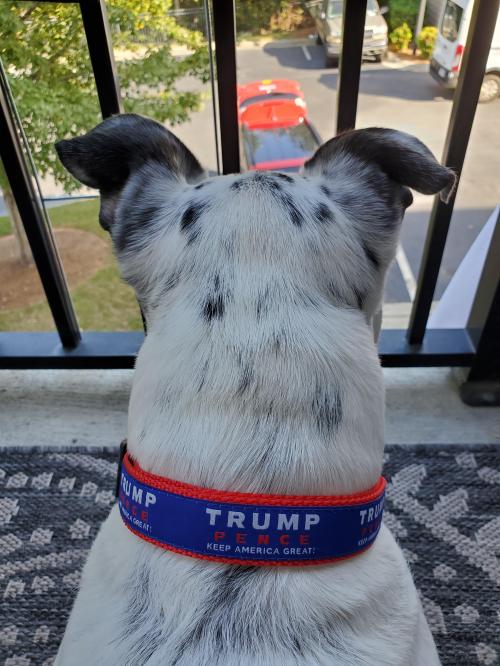 18:32:11 GMT-0500 (EST)