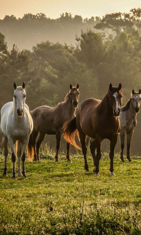 13:46:26 GMT-0500 (EST)