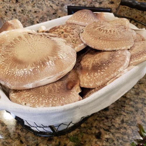 22:49:22 GMT-0600 (CST)