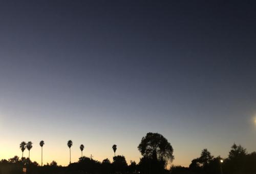 13:13:20 GMT-0800 (PST).image