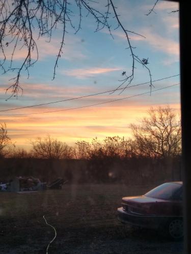 IMG_20201119_065826732_HDR