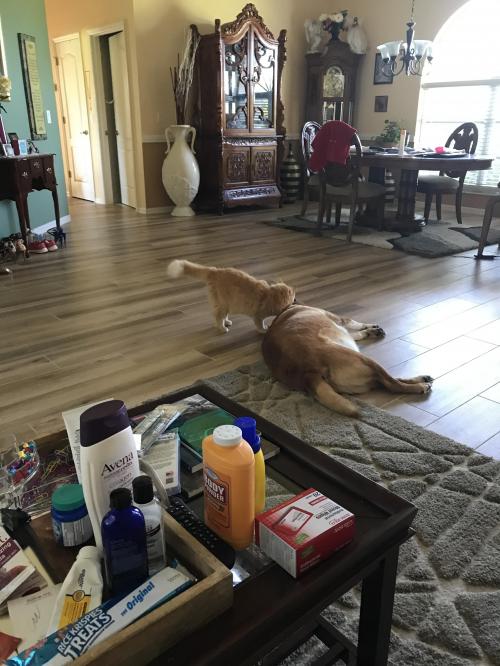 17:21:38 GMT-0500 (EST).image