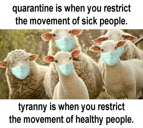 quarantine00