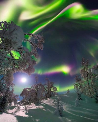 11:44:07 GMT-0500 (EST)