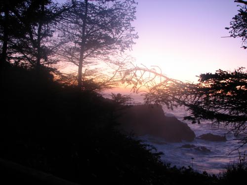 11:56:15 GMT-0800 (PST)