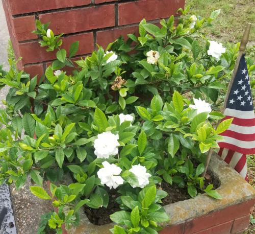 11:35:57 GMT-0600 (CST)