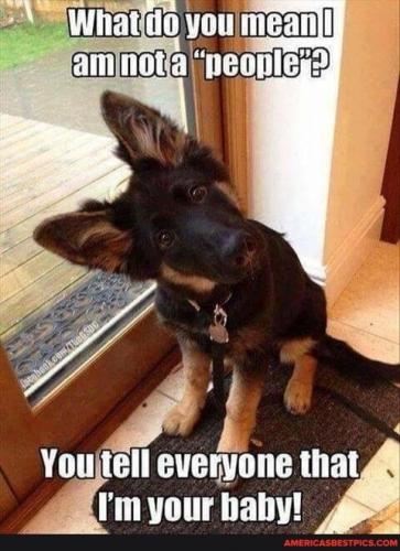 06:08:45 GMT-0600 (CST).image