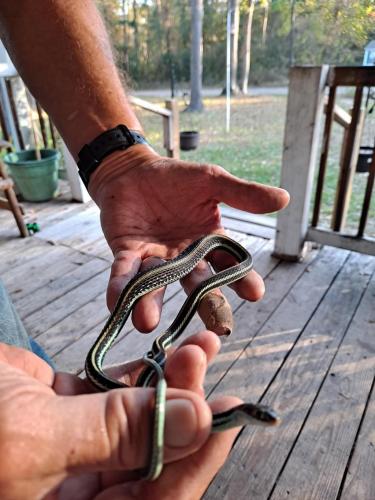 07:53:31 GMT-0600 (CST)