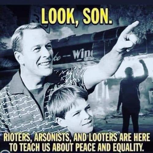 inbound7507780415446261353