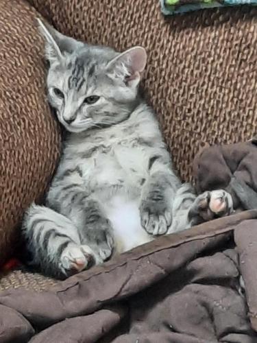 14:10:31 GMT-0600 (CST)