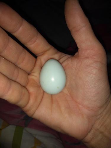 08:24:07 GMT-0600 (CST)