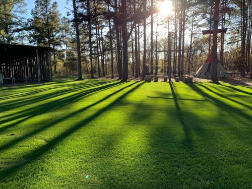 08:52:50 GMT-0600 (CST).image