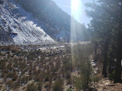 07:04:38 GMT-0800 (PST)