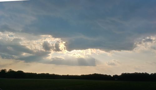 C329C602-D539-401F-B058-3121898DCA3D