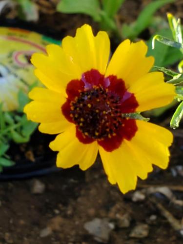 15:47:39 GMT-0800 (PST)