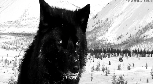 20:50:44 GMT-0600 (CST).image