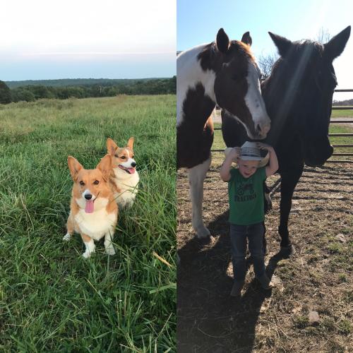 16:11:00 GMT-0600 (CST).image