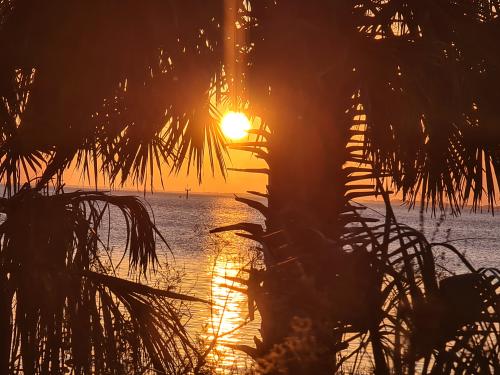 21:54:27 GMT-0500 (EST)