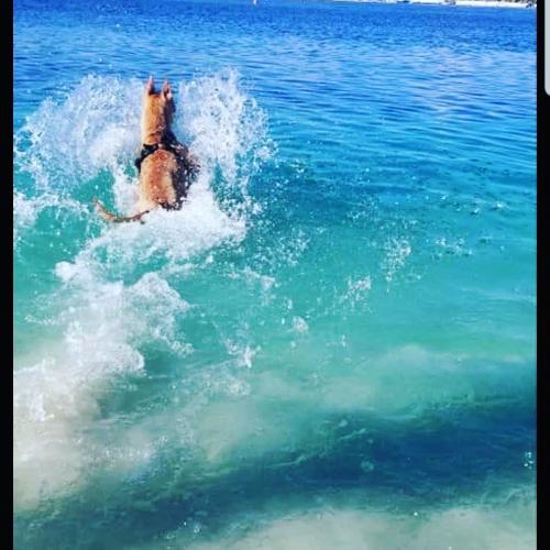 00:03:32 GMT-0500 (EST)