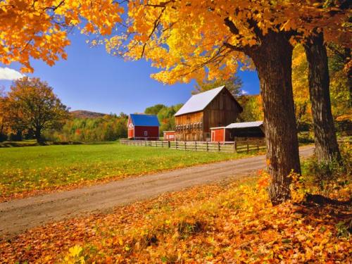 10:13:49 GMT-0600 (CST)