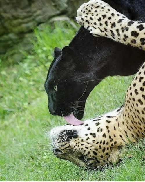 20:17:24 GMT-0600 (CST)