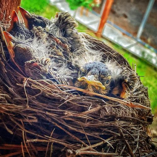 B96B67D7-D1A2-473A-9E92-8F0955522857