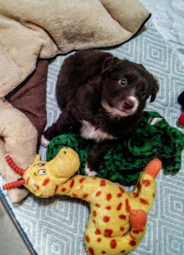 playmemoriesonline_1494450346000