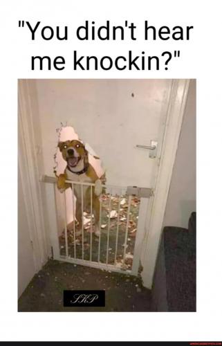 18:54:48 GMT-0600 (CST).image