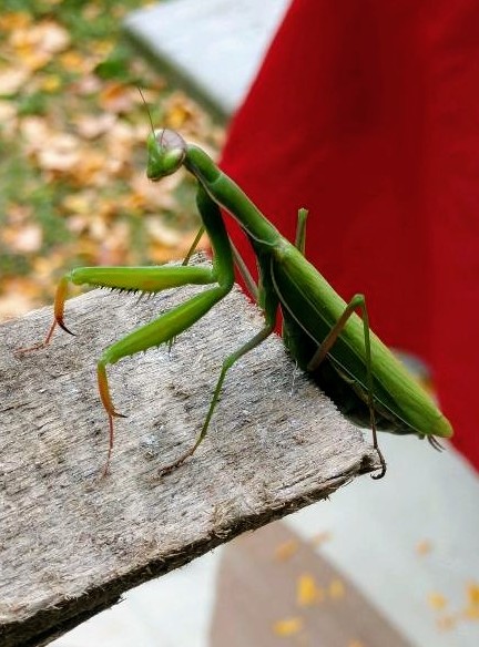 08:19:18 GMT-0500 (EST)