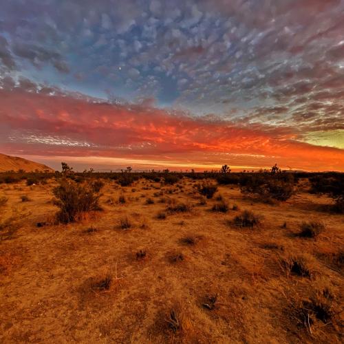 06:57:30 GMT-0800 (PST).image