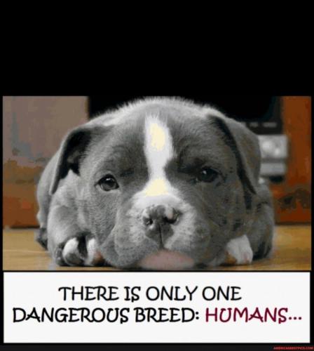 18:53:49 GMT-0600 (CST).image