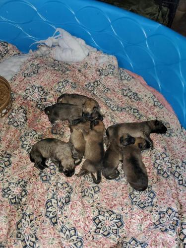 15:27:26 GMT-0600 (CST)