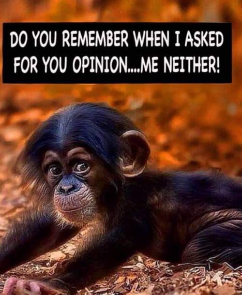 13:10:47 GMT-0800 (PST)