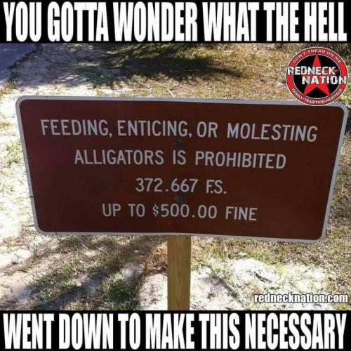 16:05:21 GMT-0500 (EST)