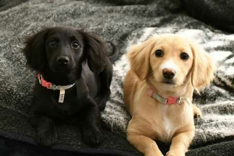 09:39:23 GMT-0800 (PST)