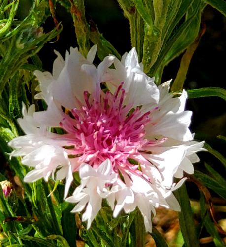 15:54:41 GMT-0800 (PST)