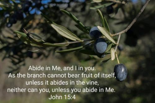 00:14:25 GMT-0500 (EST)