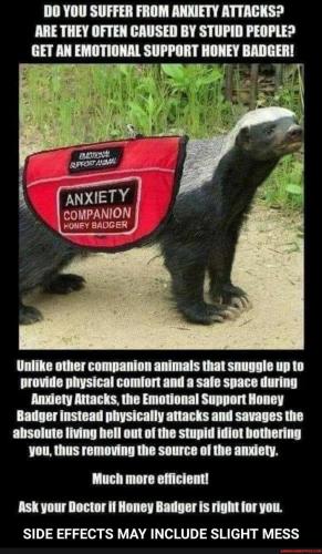 20:44:42 GMT-0600 (CST).image