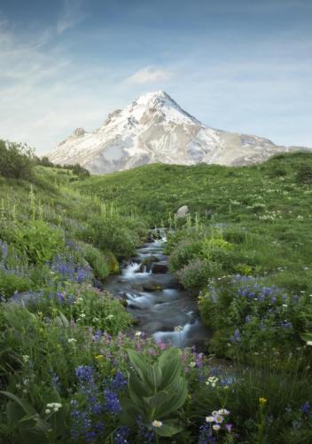 tumblr_372f934a38148d240e906360452d480d_689642fd_540