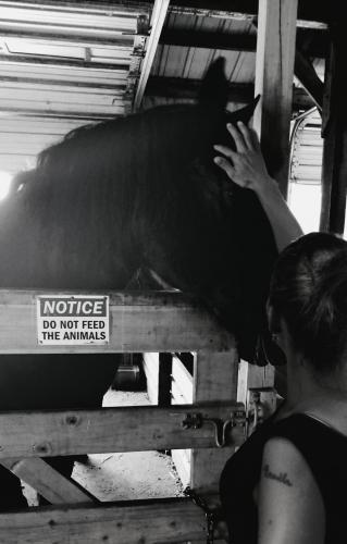 16:50:06 GMT-0600 (CST)