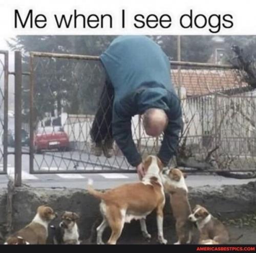 20:53:26 GMT-0600 (CST).image