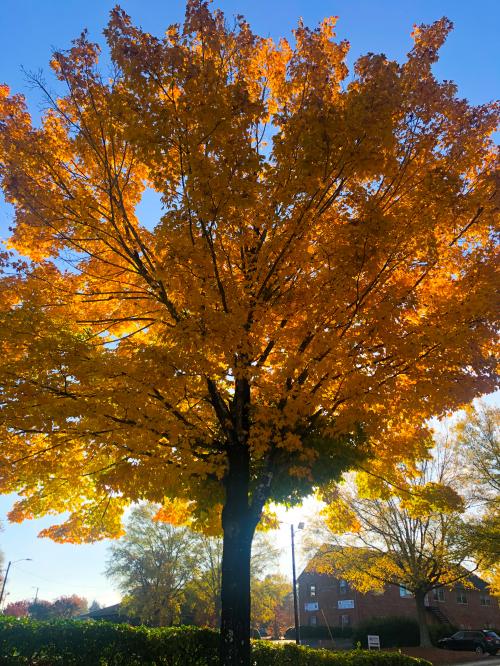 22:23:10 GMT-0500 (EST).image